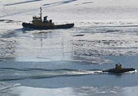 Arctic route saves time and costs for Indian shippers – CEO