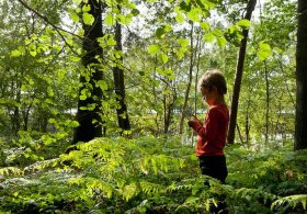 She Let Her Son Go for a Walk. Now She’s a Convicted Criminal.
