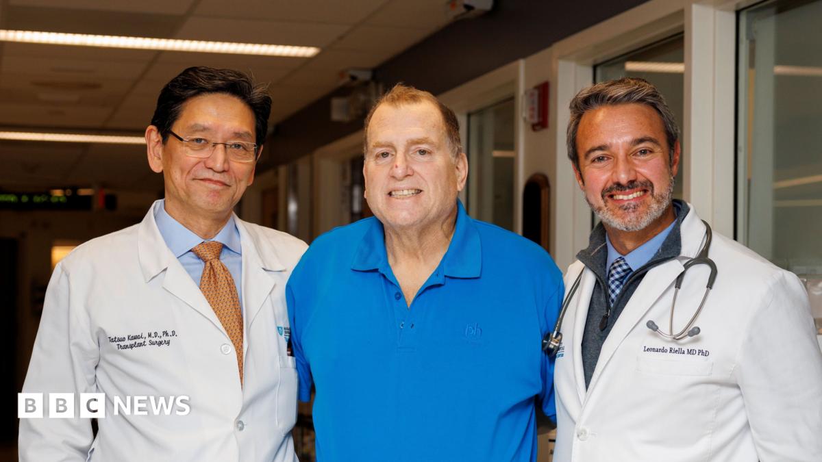 Transplanted pig kidney works in US man's body for record 271 days 8556ae508a51 1