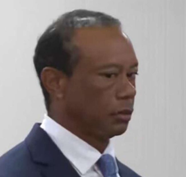 Tiger Woods’ License Suspended After Court Determines He Is Half-Asian