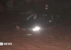 Downed trees and flooding as Hurricane Lowell batters western Hawaii