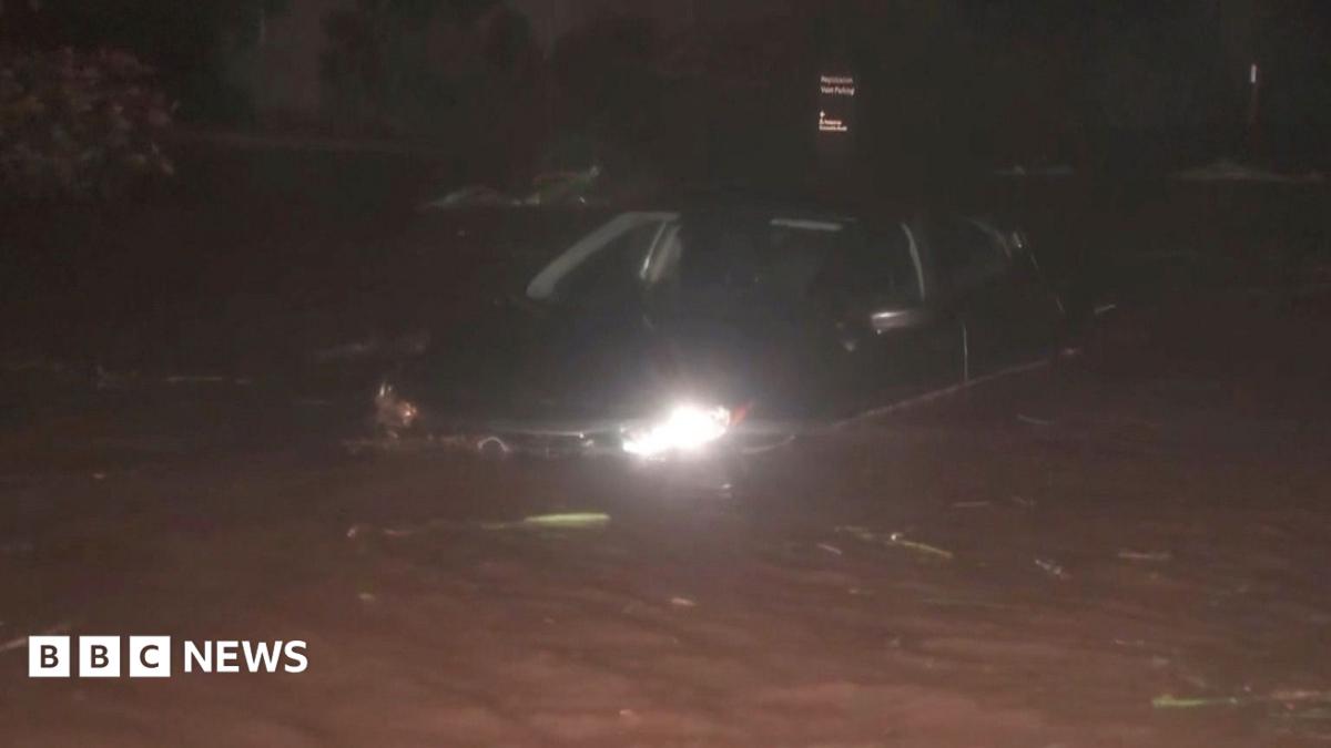 Downed trees and flooding as Hurricane Lowell batters western Hawaii 9e679
