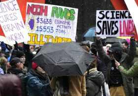 Most in DC area say they’ve been hurt by federal job cuts, furloughs: Gallup