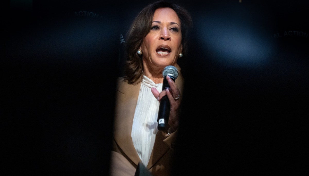 Kamala Harris urges voter registration to make midterm elections ‘too big to rig’ AP26100566713143