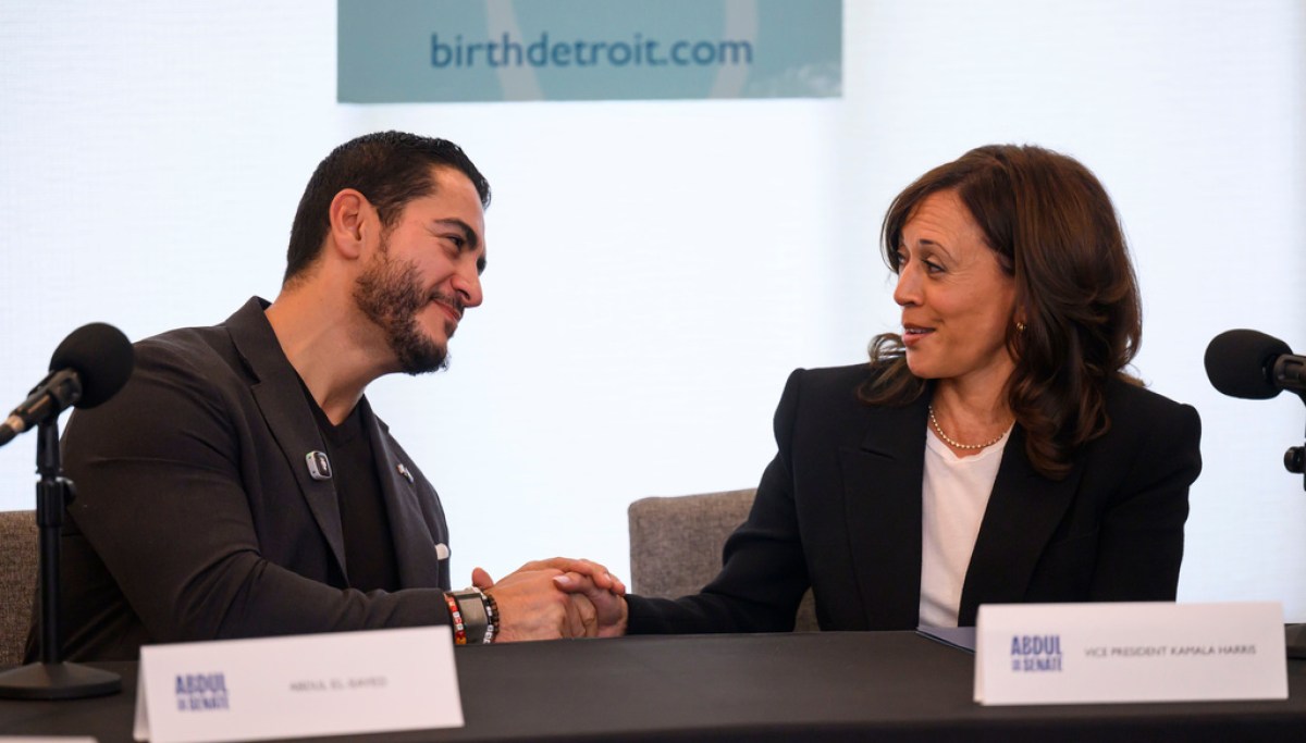 Harris: ‘Attack on DEI’ is ‘attack on maternal care’ in el Sayed campaign stop AP26265725421985