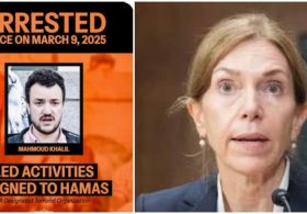 Biden Judge Rules Trump Admin CANNOT Deport Foreigners Who Express Support for Terrorist Groups
