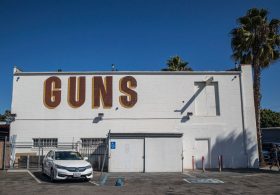 Stripped of Your Second Amendment Rights for Saying Mean Things?