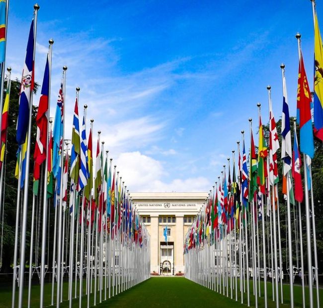 Trump ambassador vows NATO-like reforms to UN after terror scandal: ‘Clean this place up’