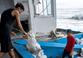 Pacific’s Hurricane Polo Prompts ‘Category 6’ Discussion