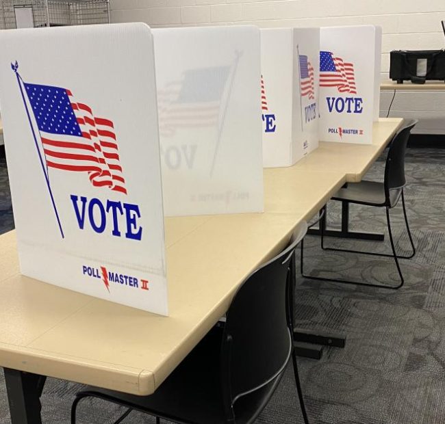 Michigan citizens-only voting proposal will not appear on November ballot
