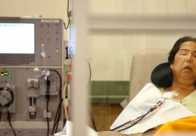 Medical First: Man Lives for 9 Months with Pig Kidney While Waiting for Human Donor