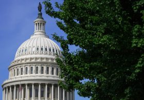 More Americans skeptical of government information: Survey