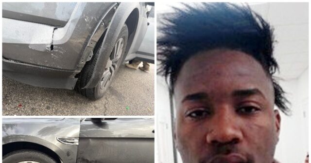 Cuban Illegal Alien Gets 10 Months, Fine for Ramming ICE Vehicles in San Antonio MixCollage 03 Sep 2026 09 50 AM 1541 640x335 1