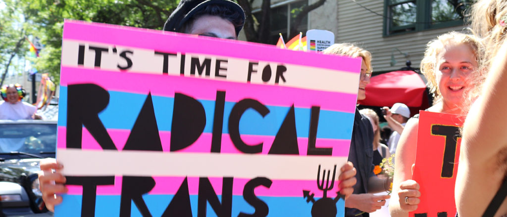Parents have new way to determine if their child’s doctor is part of pro-trans group Radical Trans Protest 1024x439 1