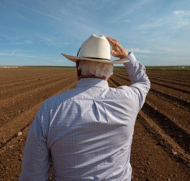Experts Sound Alarm as ‘Perfect Storm’ Threatens Historic Global Food Crisis