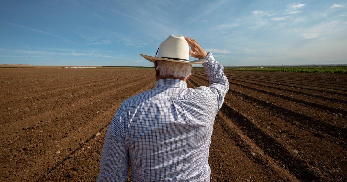 Experts Sound Alarm as ‘Perfect Storm’ Threatens Historic Global Food Crisis armer land seized green agenda