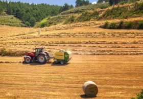 ‘Small farmers are left decimated’: Trump USDA faces calls to exit climate initiative critics call ‘private regulation’