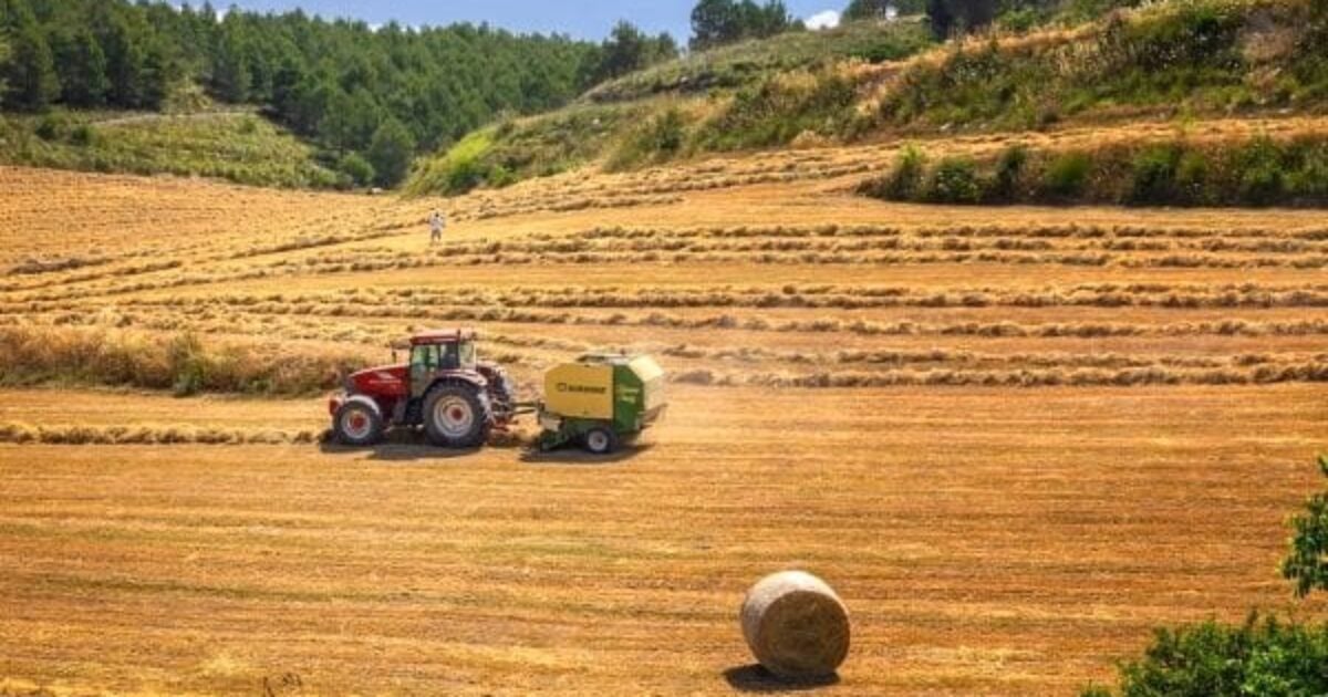 ‘Small farmers are left decimated’: Trump USDA faces calls to exit climate initiative critics call ‘private regulation’ armer tractor baler hay Pixabay 1200x630 1