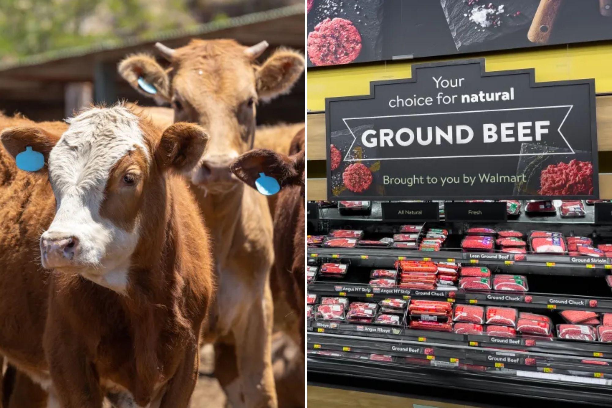 US beef supply plummets as cattle farmer warns ‘the numbers are just not here anymore’ armers 2