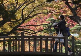 Autumn, Finally: A Season to Calm Our Politics