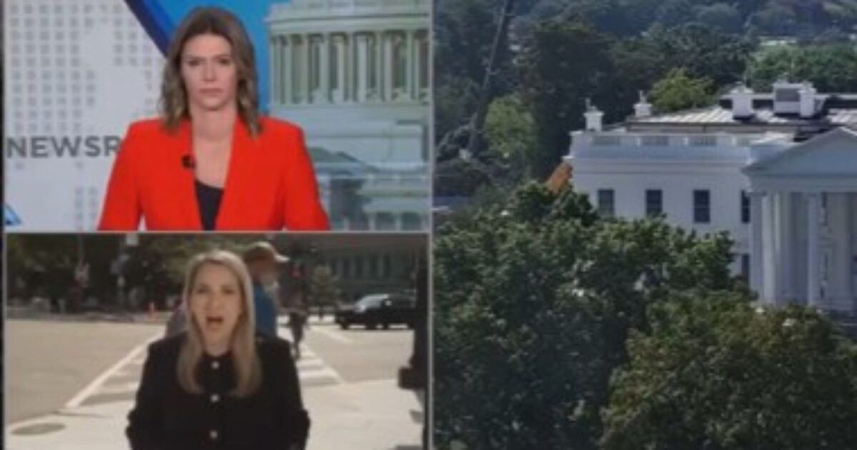 American Patriot Drops Massive Truth Bomb Live on CNN as ‘Reporter’ Whimpers About Getting Blocked from Entering the White House betsy klein 1200x630 1