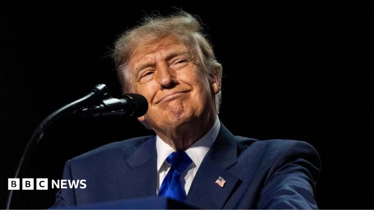 Can Trump really pay $5,000 to every American adult? c4e6c 5