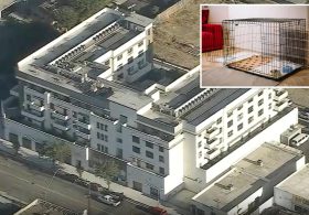 Evil stepmom accused of trapping girls in dog cage before they made daring escape