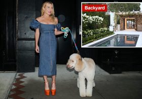 Hamptons fitness guru Tracy Anderson’s poodles viciously attack elderly neighbor after they escape