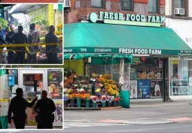 Homeless NYC nutjob slashes rival with box cutter, spilling his intestines: court docs