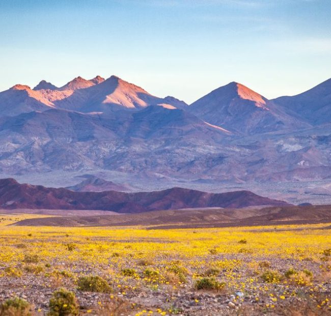 California Men Who Used AI to Help Plan a Hike End Up Stranded on a Mountain