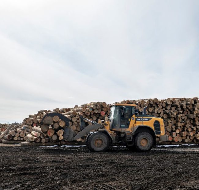 Canada Talked Tough with Trump: Now Job Losses Hit 42K as Tariffs Are Set to Hit Harder