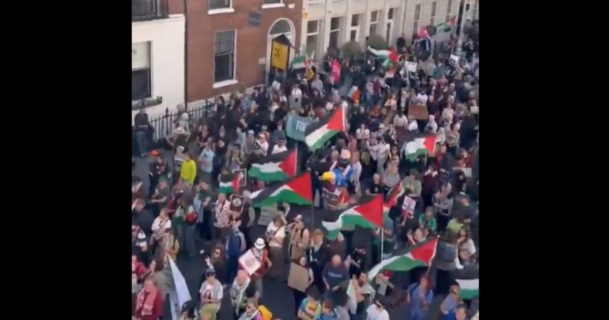 So There Was a Protest Saturday Against Donald Trump in Dublin – They Were Waving Palestinian Flags… In Ireland! WTH Was That? ireland trump protest 1200x630 1