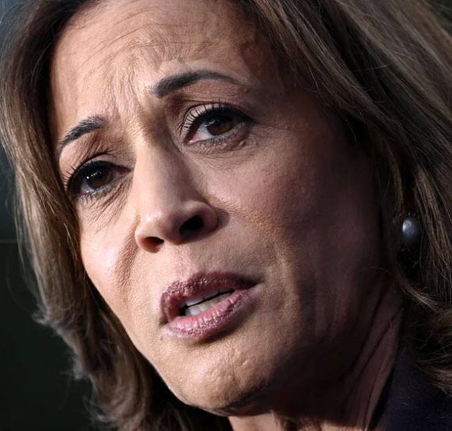 Kamala Harris: Removing Hundreds of Thousands of Non-Citizens from Voter Rolls Is ‘Cheating’
