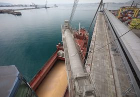 Ceasefire Could Restart 80% Of Russia’s Black Sea Grain Export Capacity — Three Terminals Still Heavily Damaged