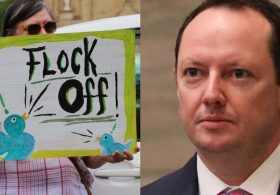 Republicans Move to Defund Orwelian Flock Surveillance Camera Networks