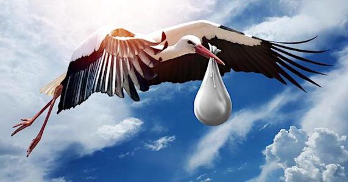 ‘Corrupt our culture’: Republican lawmakers putting ‘criminal’ birth tourism under microscope lying sky heavens reproducing abortion planned parenthood pixabay 1200x630 1