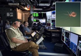 Haunting sea creature spotted off California coast for first time ever