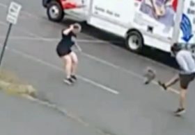 Mystery animal terrorizing New Hampshire neighborhood after attacking 3rd person