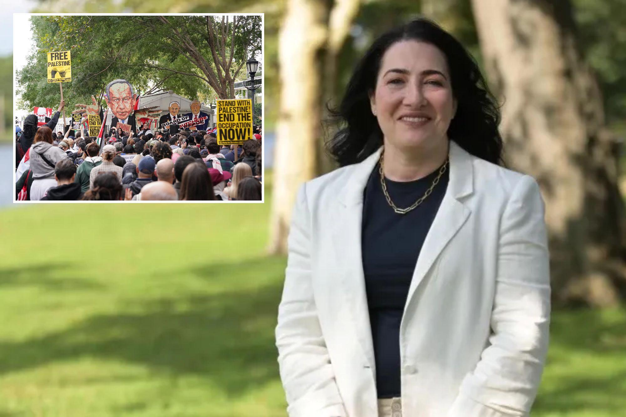 Long Island health care exec motivated to run for state Senate over antisemitism in NY: ‘Need more moderate voices’ newspress collage m3z9pwm8m 1790799912093