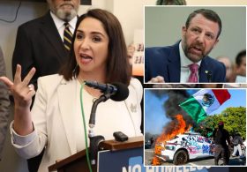 ‘Squad’ Democrat slammed by Trump admin for most ‘radical’ plan targeting ICE yet