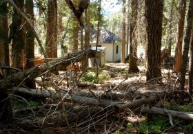 Ending the roadless rule can help fight forest fires and improve wildlife access