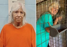 Missouri foster mom accused of trading teen for monkey avoids prison