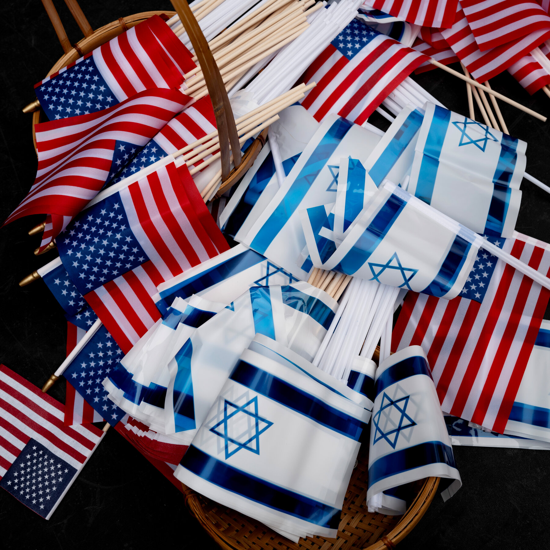 Democracy Is on the Ballot in Both America’s and Israel’s Elections riedman mediumSquareAt3X