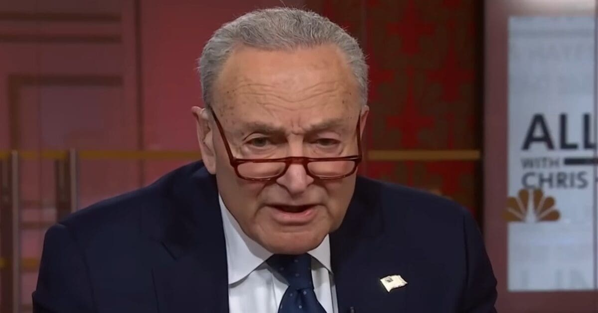 Meet OpenAI’s newest policy power player: Chuck Schumer’s daughter sg chuck schumermsnbc 1200 x 628 1200x630 1