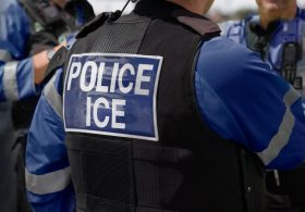Democrat Politician Melts Down After ICE Nabs News Anchor-Turned-Party Staffer