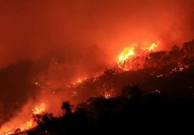 God Pulls Back Even With Gavin Newsom In Race To Destroy California