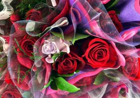 Stick With the Sisters (and Don’t Forget the Flowers)