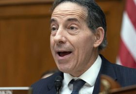 Rep. Jamie Raskin Says Immigrant Elon Musk ‘Never Really Inhaled’ the Real Values of Our Country