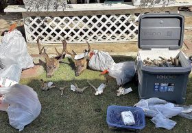 California poaching suspect reeled in staggering amount of black bass in massive wildlife bust