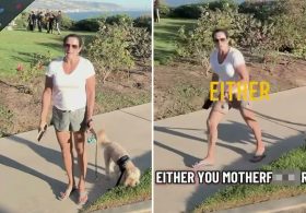 Laguna Beach ‘Karen’ hijacks California couple’s romantic engagement